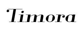 Timora - logo